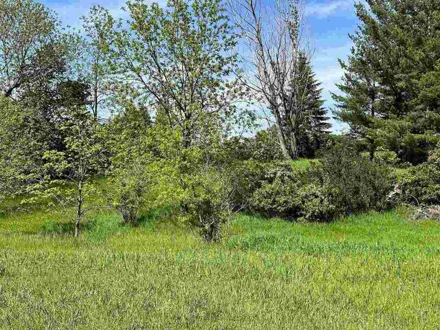 LOT8 Schoolcraft Rd, Bellaire, MI 49615