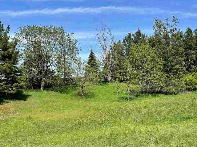 LOT8 Schoolcraft Rd, Bellaire, MI 49615