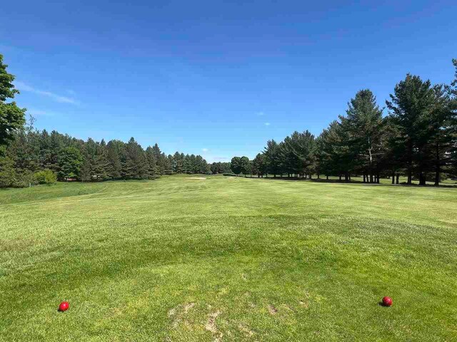 LOT8 Schoolcraft Rd, Bellaire, MI 49615