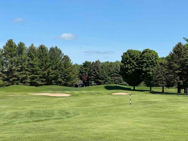 LOT8 Schoolcraft Rd, Bellaire, MI 49615