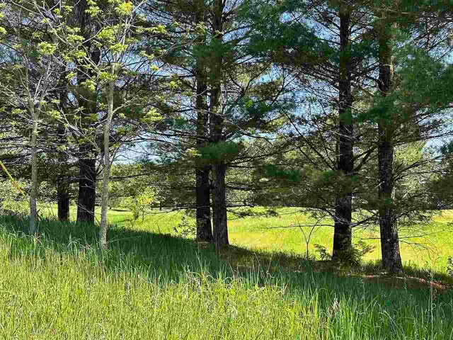 LOT8 Schoolcraft Rd, Bellaire, MI 49615