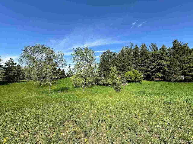 LOT8 Schoolcraft Rd, Bellaire, MI 49615
