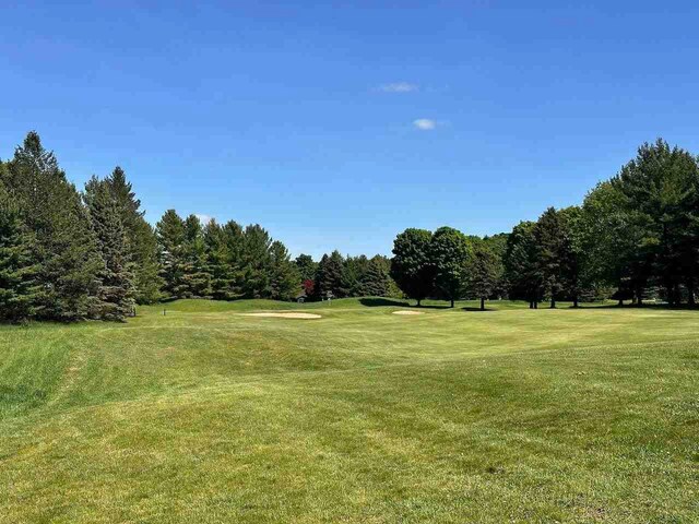 LOT8 Schoolcraft Rd, Bellaire, MI 49615