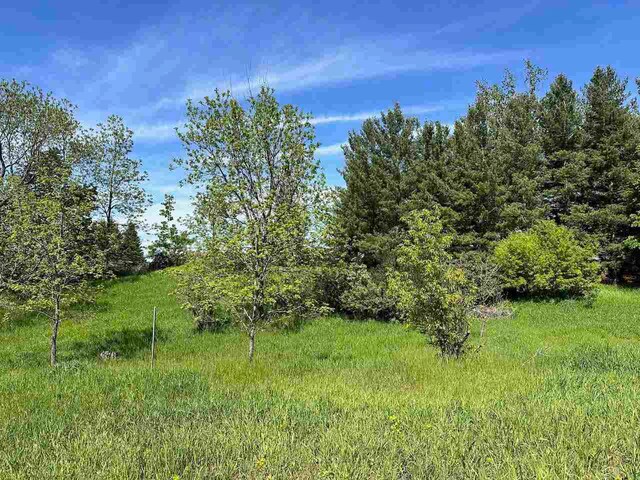 LOT8 Schoolcraft Rd, Bellaire, MI 49615