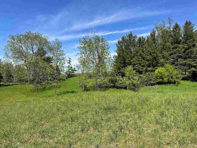 LOT8 Schoolcraft Rd, Bellaire, MI 49615