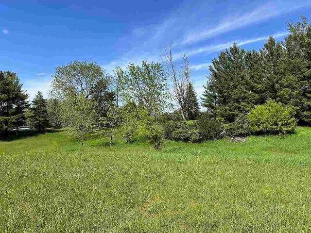 LOT8 Schoolcraft Rd, Bellaire, MI 49615
