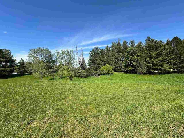 LOT8 Schoolcraft Rd, Bellaire, MI 49615