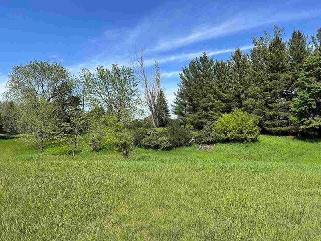 LOT8 Schoolcraft Rd, Bellaire, MI 49615