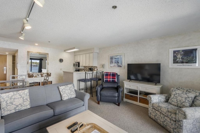 carpeted living room with a textured ceiling and track lighting