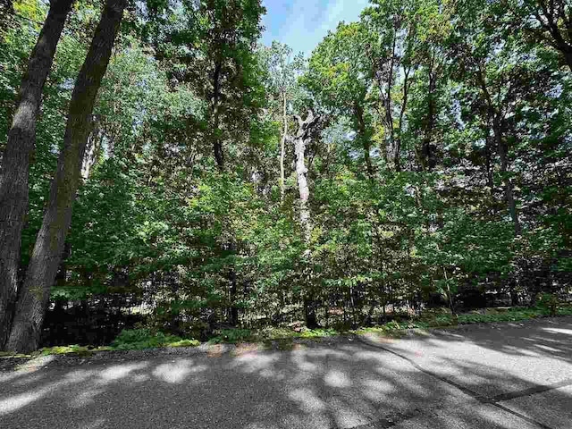 UNIT32 Golf Meadows Dr, Bellaire, MI 49615
