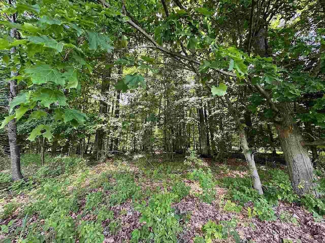 UNIT32 Golf Meadows Dr, Bellaire, MI 49615