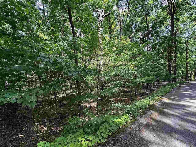 UNIT32 Golf Meadows Dr, Bellaire, MI 49615