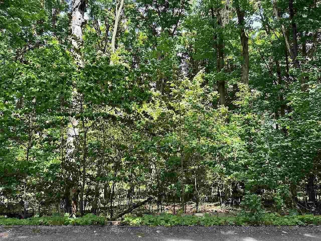 UNIT32 Golf Meadows Dr, Bellaire, MI 49615