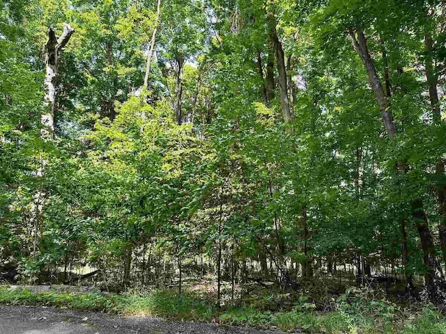 UNIT32 Golf Meadows Dr, Bellaire, MI 49615