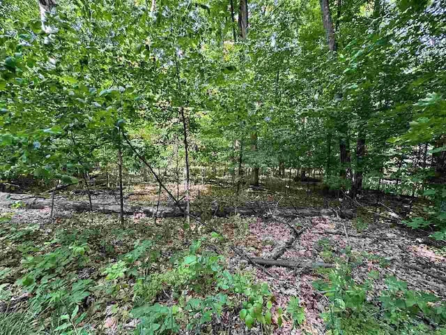 UNIT32 Golf Meadows Dr, Bellaire, MI 49615