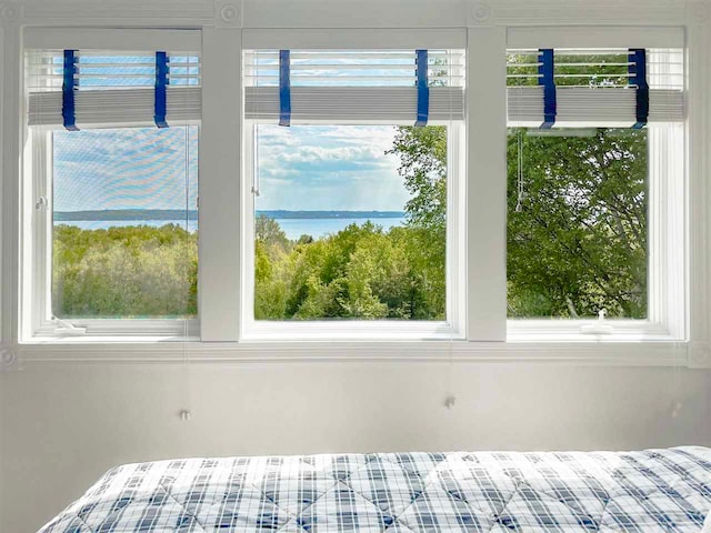 unfurnished bedroom with a water view and multiple windows