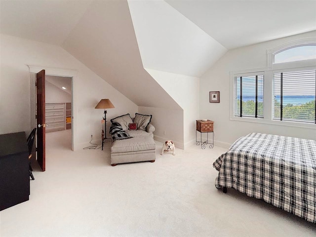 carpeted bedroom featuring lofted ceiling