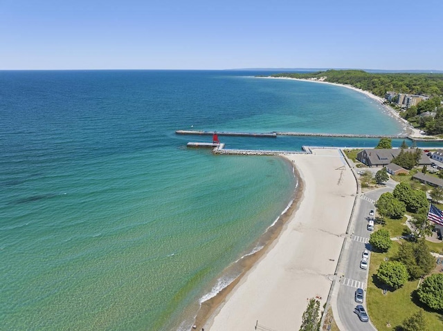 401 Antrim St, Charlevoix, MI 49720 - bird's eye view of extended coastline