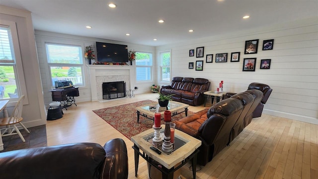 living room with a premium fireplace, light hardwood / wood-style floors, and a wealth of natural light