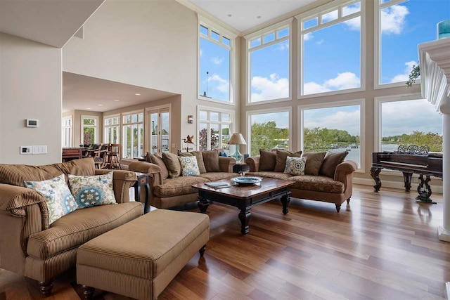 living room featuring a high ceiling and hardwood / wood-style flooring