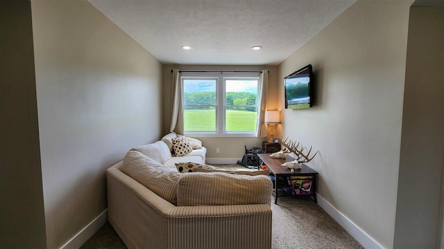 sitting room featuring carpet floors and a textured ceiling