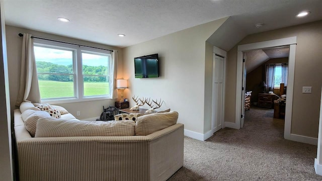 carpeted living room featuring lofted ceiling