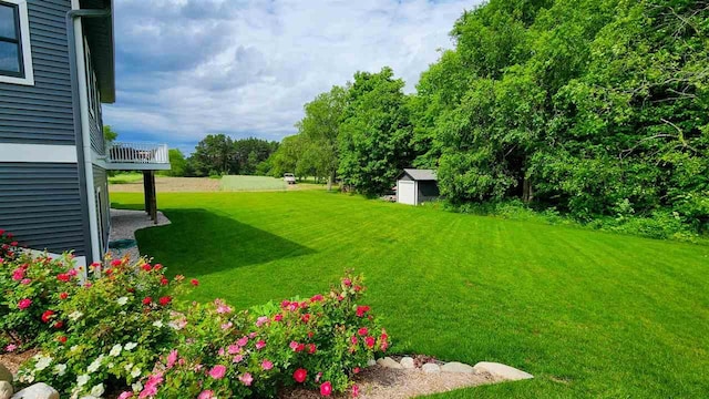 view of yard featuring a shed