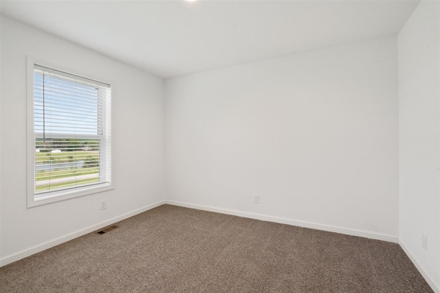 empty room featuring a healthy amount of sunlight and carpet floors