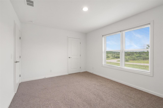 empty room featuring a wealth of natural light and carpet flooring