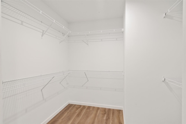 spacious closet featuring wood-type flooring