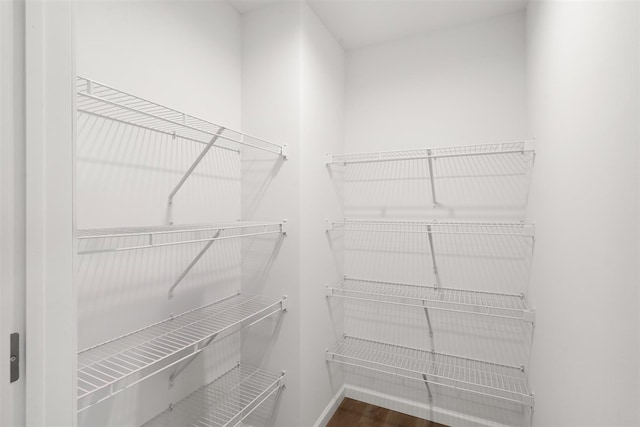 walk in closet featuring hardwood / wood-style flooring