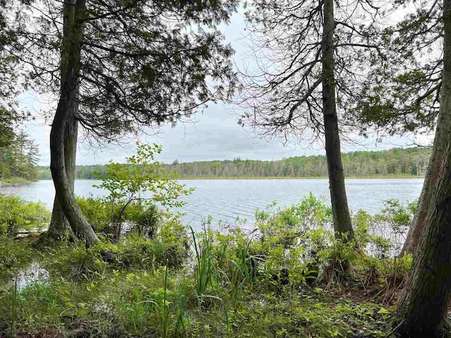 Listing photo 2 for TBD Hemlock Point Rd, Beaver Island MI 49782