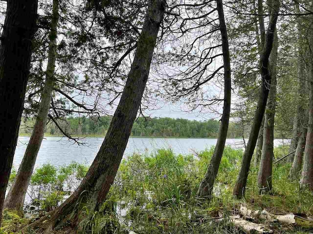 Listing photo 3 for TBD Hemlock Point Rd, Beaver Island MI 49782