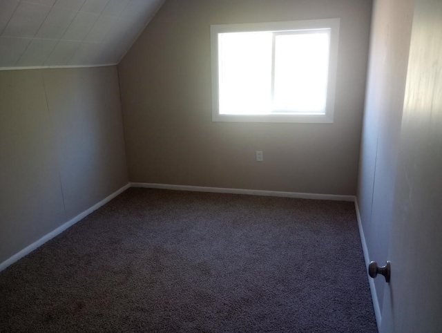 additional living space with carpet and lofted ceiling