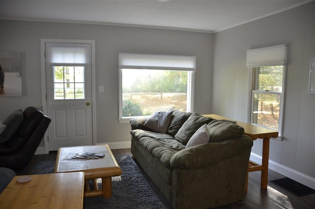 2690 E Lake St, Harbor Springs, MI 49740 - living room with crown molding, dark hardwood / wood-style flooring, and a wealth of natural light