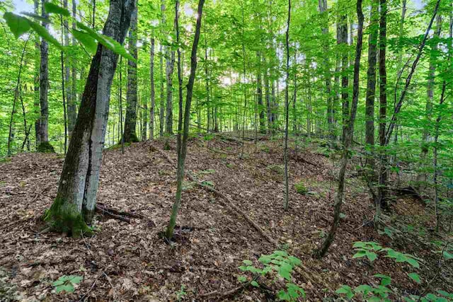 3402 Needles Dr, Harbor Springs, MI 49740