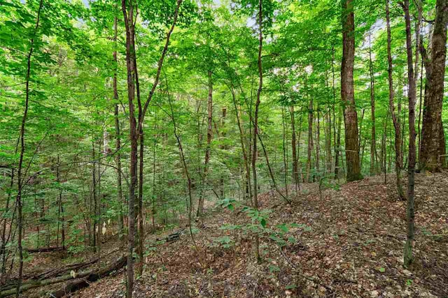 3402 Needles Dr, Harbor Springs, MI 49740