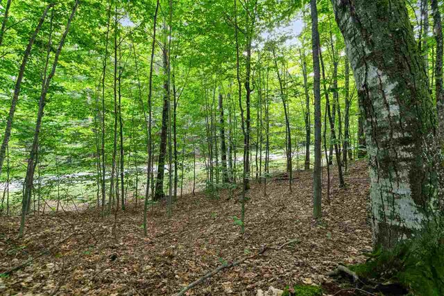 3402 Needles Dr, Harbor Springs, MI 49740