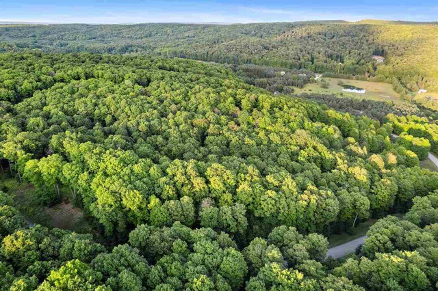 3402 Needles Dr, Harbor Springs, MI 49740