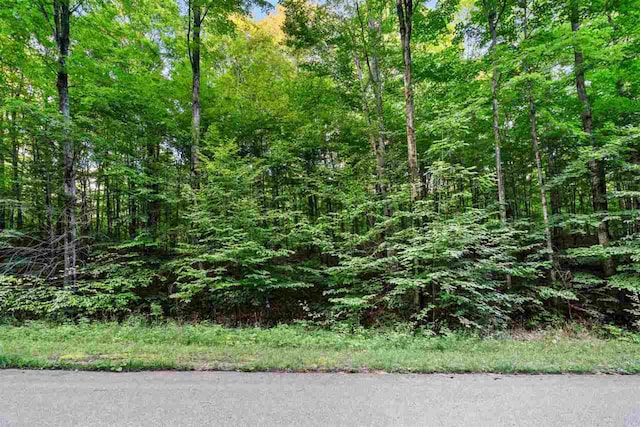 3402 Needles Dr, Harbor Springs, MI 49740