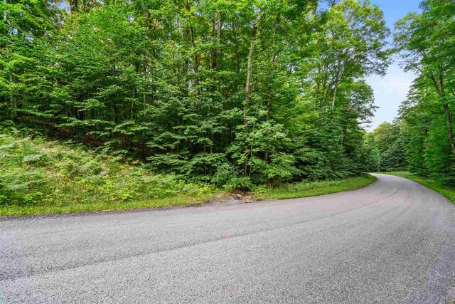 3402 Needles Dr, Harbor Springs, MI 49740