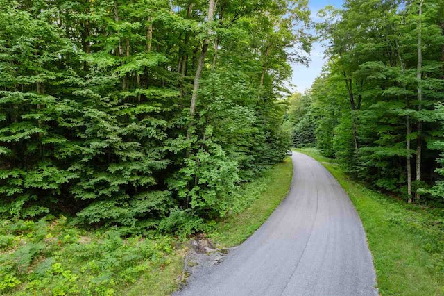 3402 Needles Dr, Harbor Springs, MI 49740