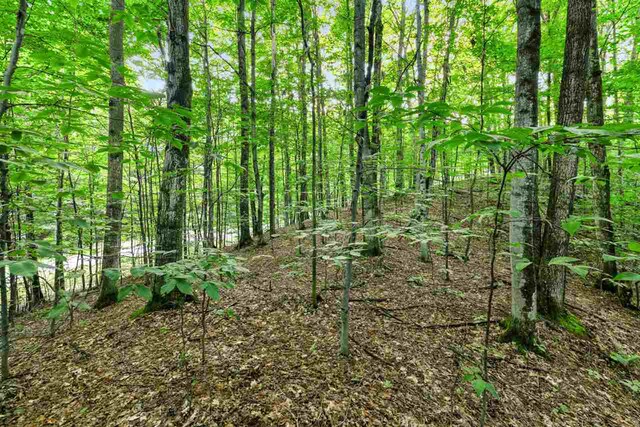 3402 Needles Dr, Harbor Springs, MI 49740