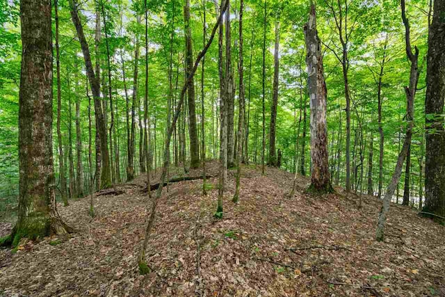 3402 Needles Dr, Harbor Springs, MI 49740