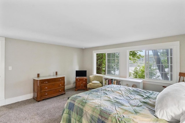 bedroom featuring multiple windows and carpet