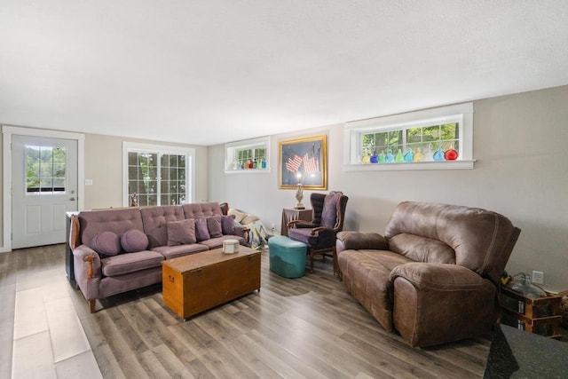 living room featuring hardwood / wood-style floors