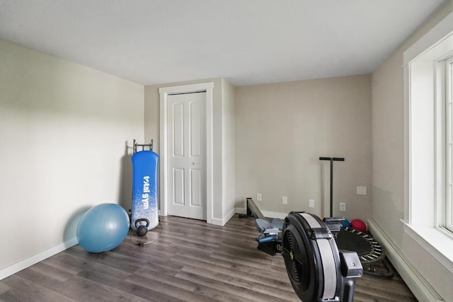 exercise room featuring dark hardwood / wood-style flooring