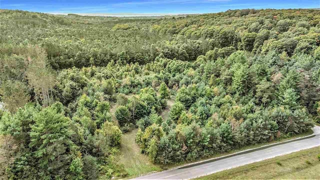 TBD Heynig Road, Harbor Springs MI, 49740 land for sale