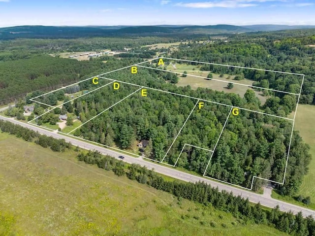 Listing photo 3 for TBD Thumb Lake Rd, Boyne Falls MI 49713