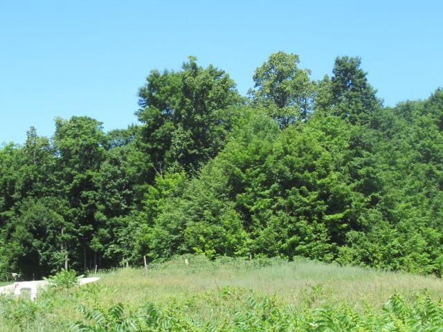 2194 Chapel Hill Dr, Petoskey, MI 49770